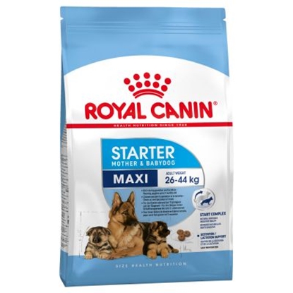 Picture of ROYAL CANIN MAXI STARTER MOTHER & BABY 4KG